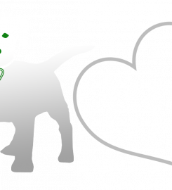 Barks Hotel