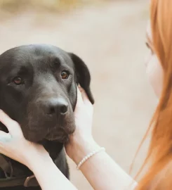 Cloverleaf Canine Centre