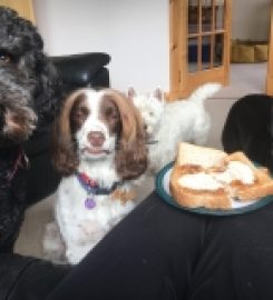 Black Isle Pet Services & Home Boarding