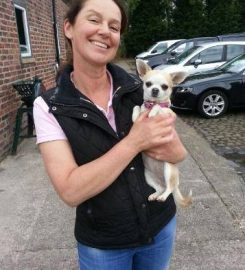 Daisybank Boarding Kennels