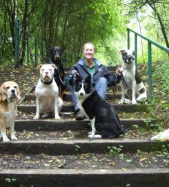 Dog walking and pet sitting service