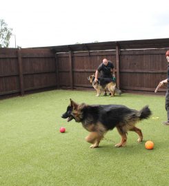 Crossroads Kennels And Cattery