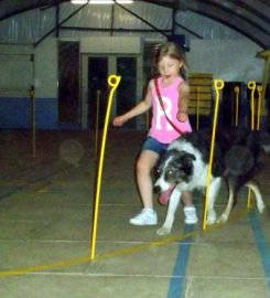 Chadkirk Kennels and Cattery