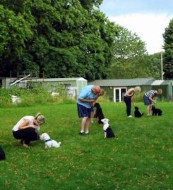 Chadkirk Kennels and Cattery