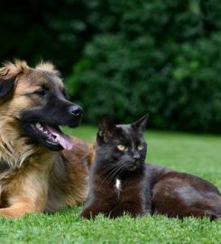 Reddicap Kennels & Catteries Ltd