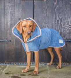 Eshiels Gundogs Boarding and Training Kennels