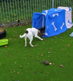 Santosha Boarding Kennels & Cattery