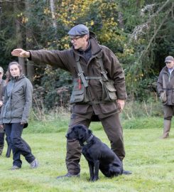 Dorset Dog training the right way : Muttley Solutions