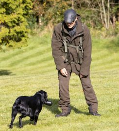 Dorset Dog training the right way : Muttley Solutions