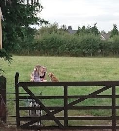 Fairfield Kennels and Cattery