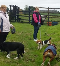 Burnley Pet Boarding Centre