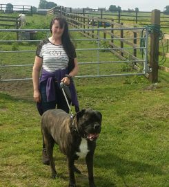 Burnley Pet Boarding Centre