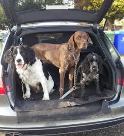 Ardoch Boarding Kennels