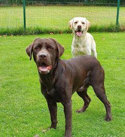 Fairway Boarding Kennels & Cattery