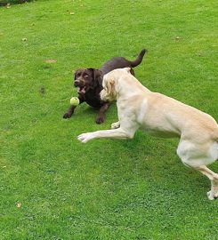 Fairway Boarding Kennels & Cattery