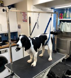 Thorn Brae Dog Grooming