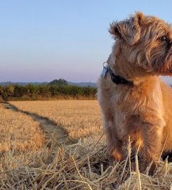 Waterloo Kennels