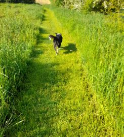 Ewloe Boarding Kennels, Cattery and Rabbit Retreat