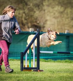 Stockbridge Canine School