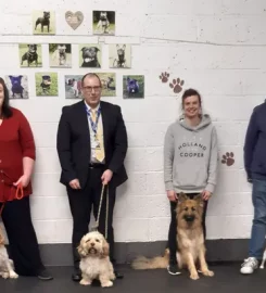 Raw Instinct Dog Training Centre