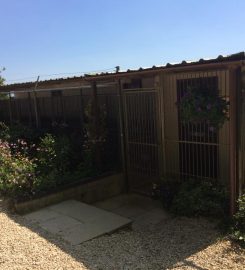 Banbury Kennels and Cattery