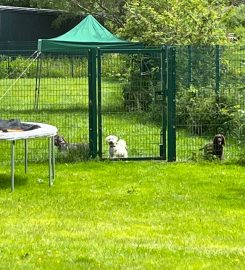 Drws-y-Coed Boarding Kennels & Daycare Centre