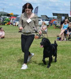 Verstone Boarding Kennels & Cattery