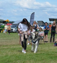 Verstone Boarding Kennels & Cattery