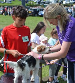 Verstone Boarding Kennels & Cattery