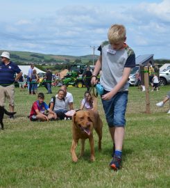 Verstone Boarding Kennels & Cattery