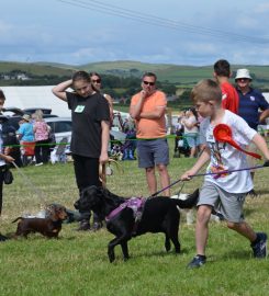 Verstone Boarding Kennels & Cattery