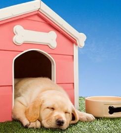 Reddicap Kennels & Catteries Ltd