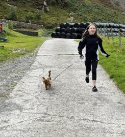 Drws-y-Coed Boarding Kennels & Daycare Centre