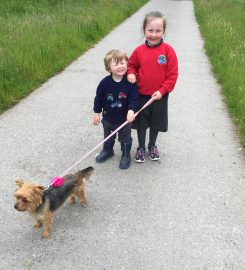 Drws-y-Coed Boarding Kennels & Daycare Centre