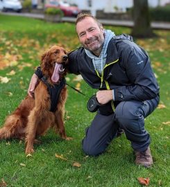 Hawick Dog Walking and Doggy Day Care