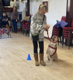 Progress Dog Training