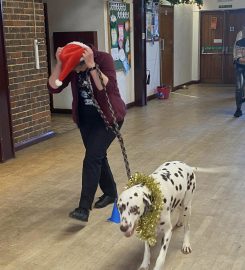 Progress Dog Training