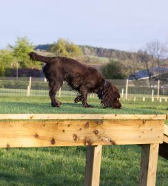 Welly and Tails