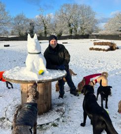 Abbey Grove Day Care for Dogs