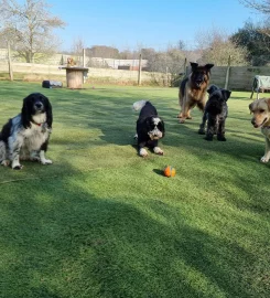 Old Clayton Kennels