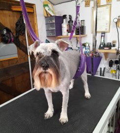 Wuffians Dog Grooming