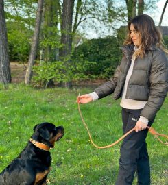 Dog Behaviourist & Trainer Canine Sense