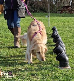 UK Sniffer Dogs