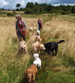 Treks Dugs Walk 'n' Roll