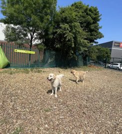 Dogs Aloud Doggy Daycare