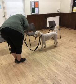 Positive Dog Training Academy