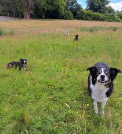 Leads Around the Loch