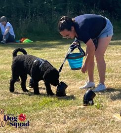 UK Sniffer Dogs