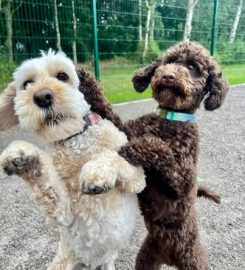 Warren Wood Kennels & Cattery