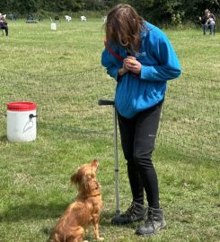 UK Sniffer Dogs